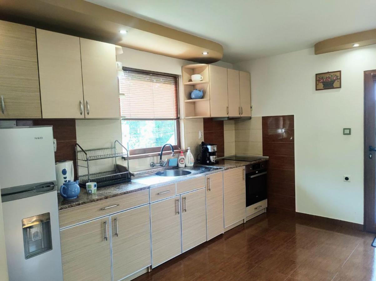 Holiday Home Veli Szapareva Banja Kültér fotó