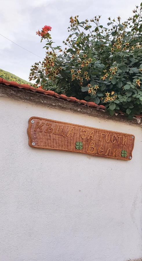 Holiday Home Veli Szapareva Banja Kültér fotó